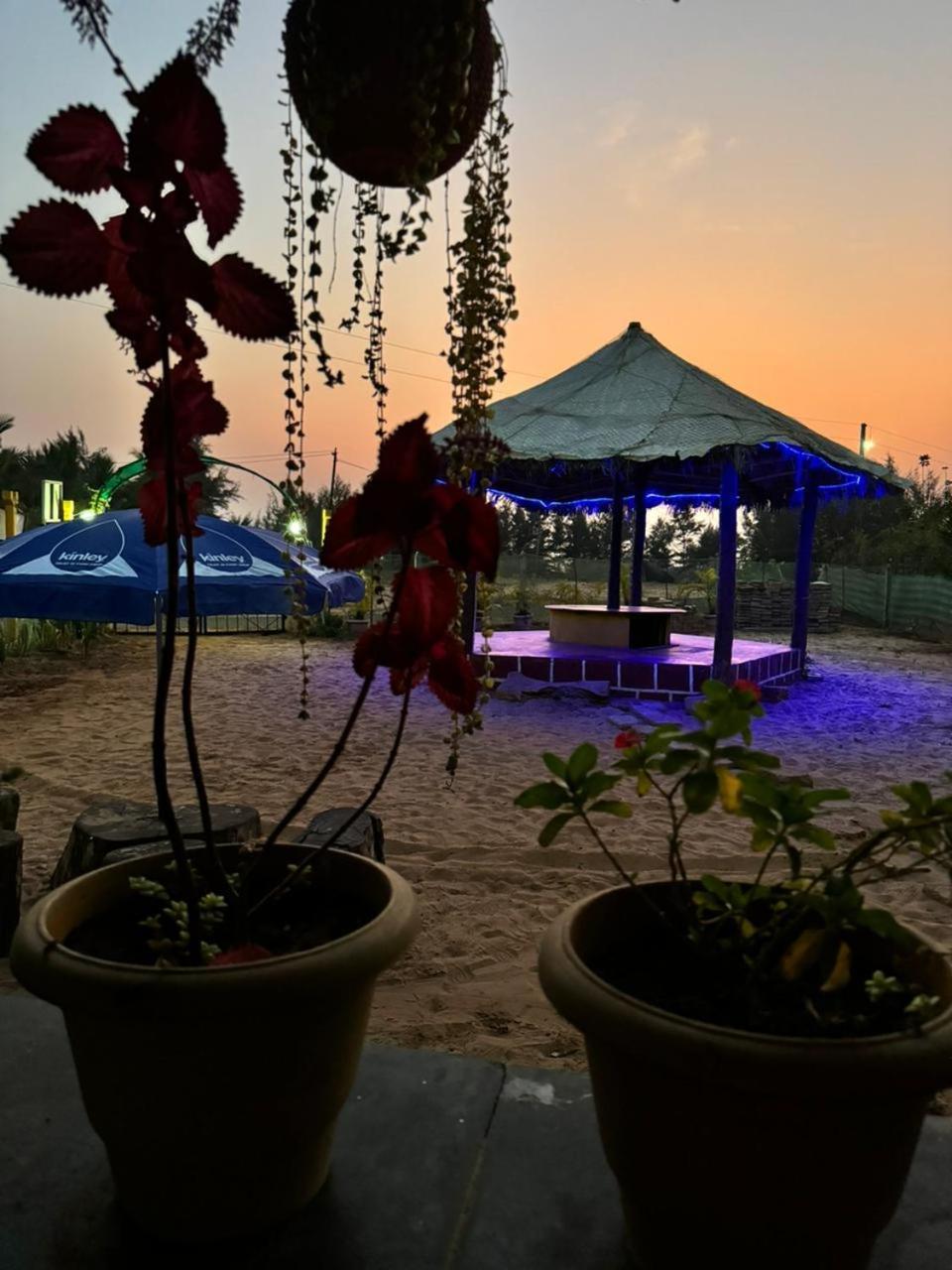 Turtle Beach House Vengurla Dış mekan fotoğraf