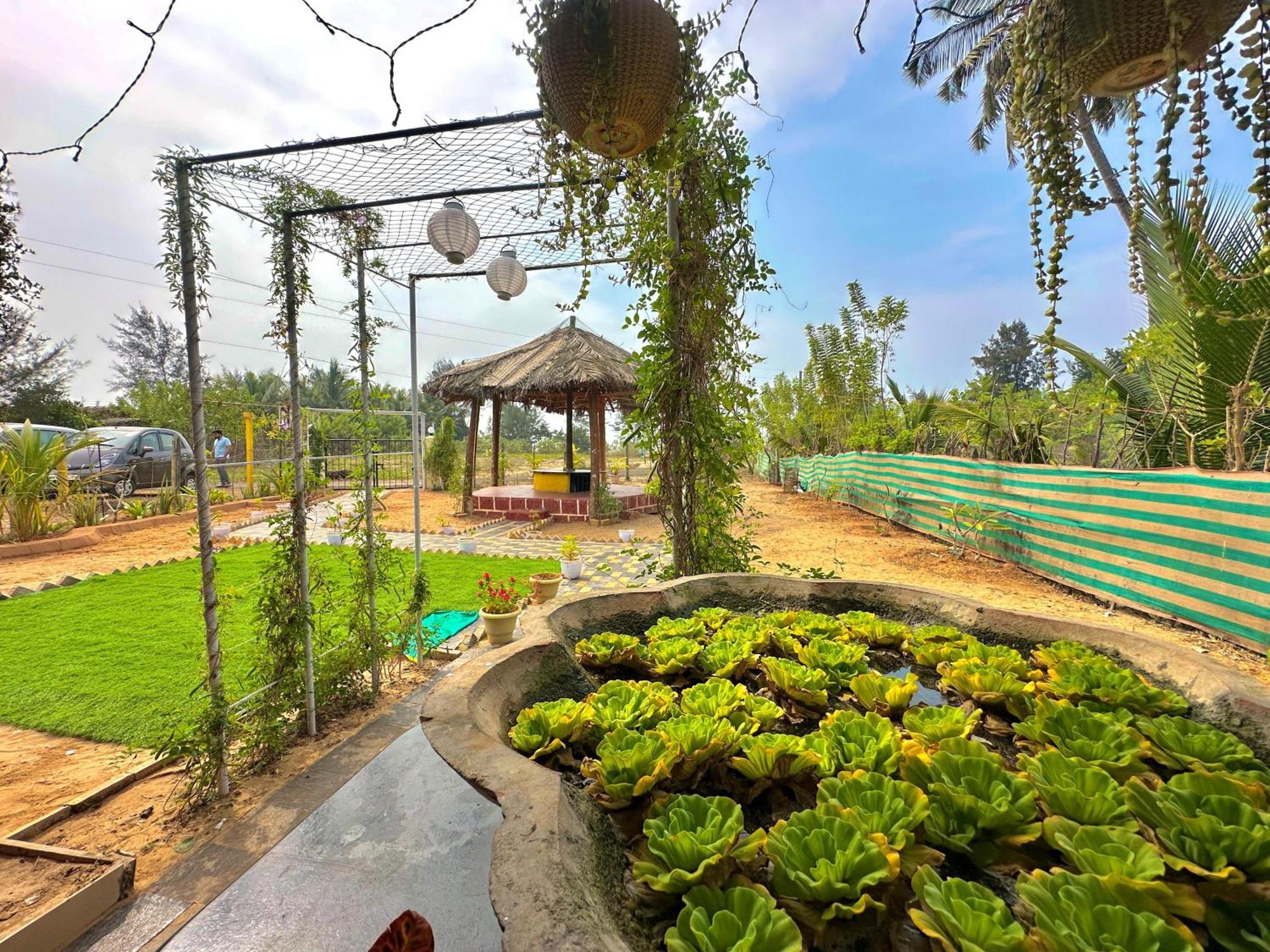 Turtle Beach House Vengurla Dış mekan fotoğraf